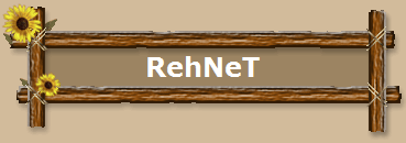 RehNeT